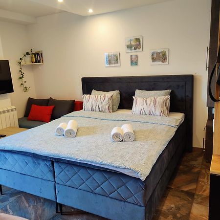 Kala Apartment Novi Sad Dış mekan fotoğraf